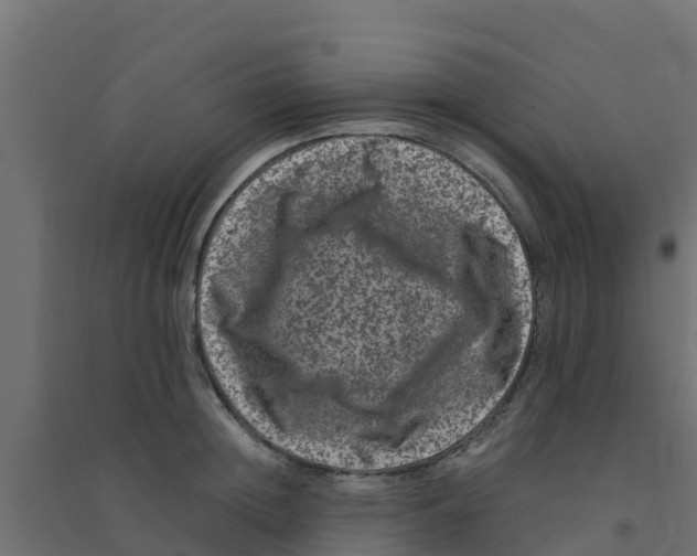 X0000094180852200711241551