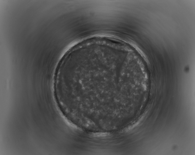 X0000094180853200711241551