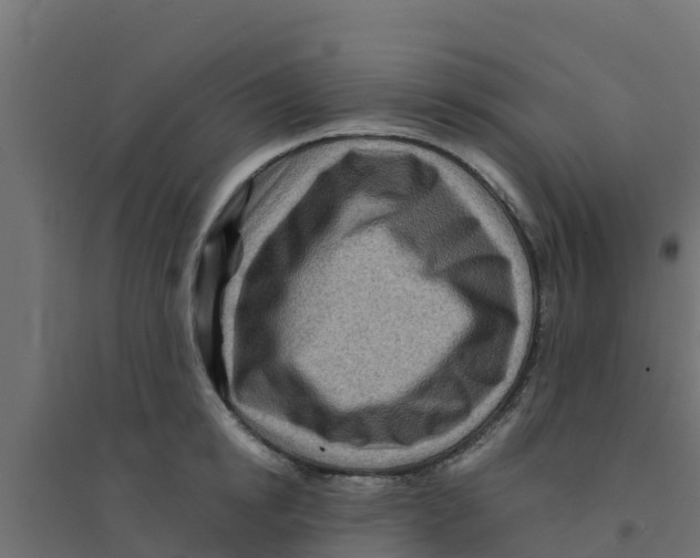 X0000094180854200711241551