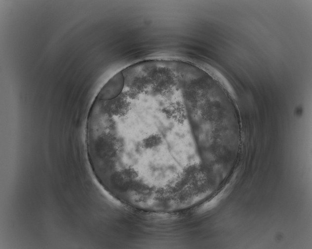 X0000094180855200711241551