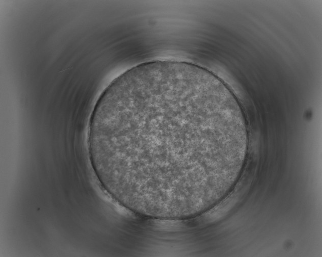 X0000094180856200711241551