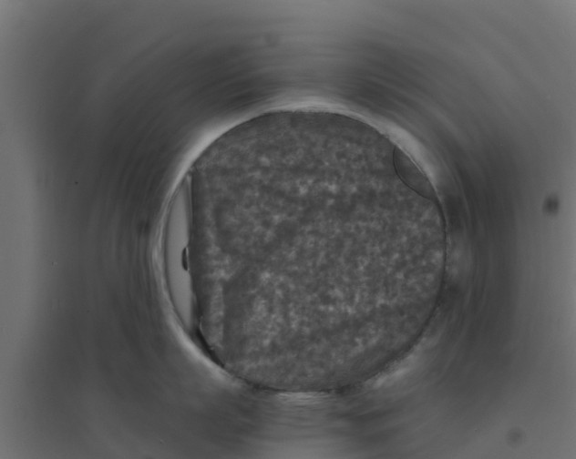 X0000094180863200711241552