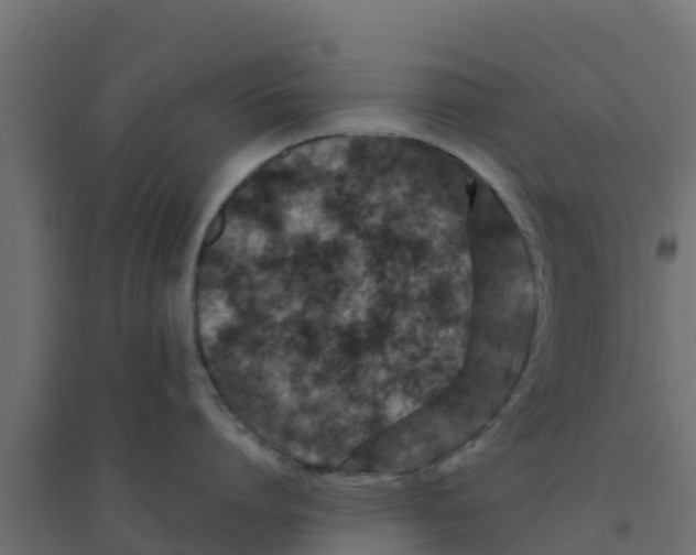 X0000094180864200711241552
