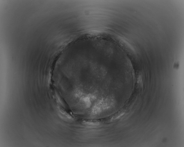 X0000094180868200711241551
