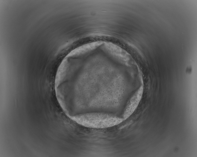X0000094180870200711241551