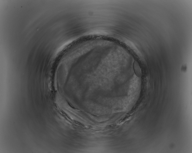 X0000094180872200711241551