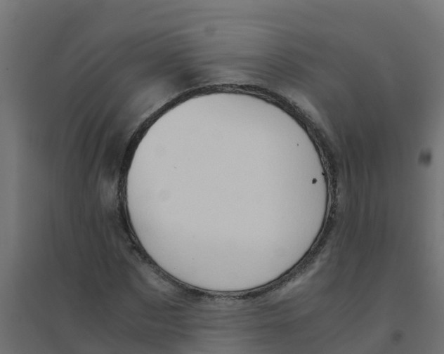X0000094180873200711241551