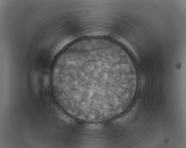 X0000094180874200711241551