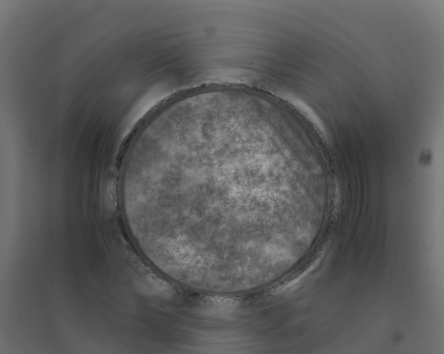 X0000094180878200711241551
