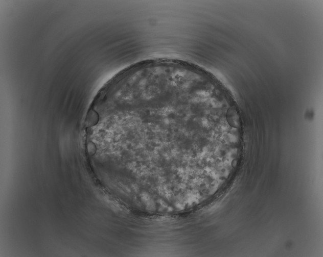 X0000094180879200711241551