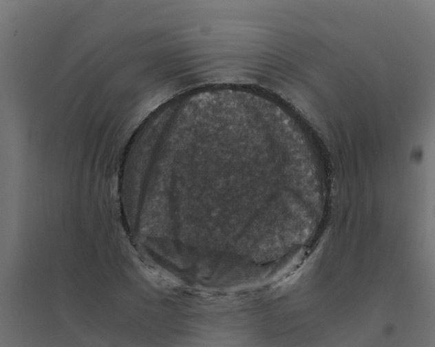 X0000094180881200711241551