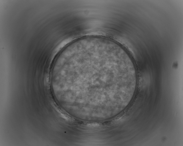 X0000094180882200711241551