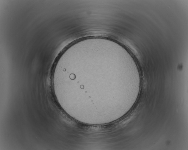 X0000094180883200711241551