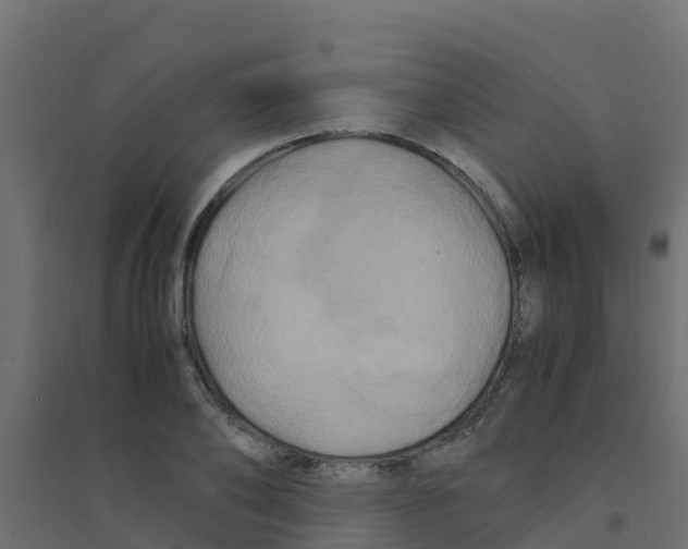 X0000094180886200711241551