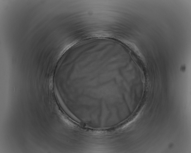 X0000094180889200711241551