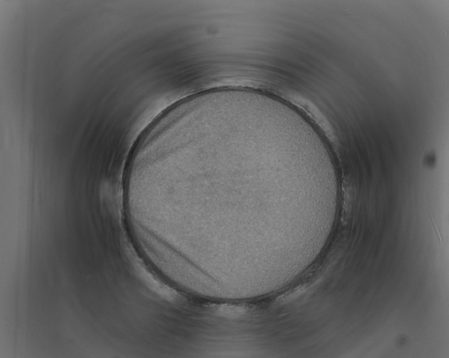 X0000094180890200711241551