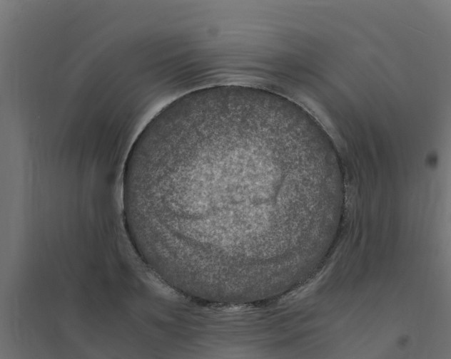 X0000094180891200711241551
