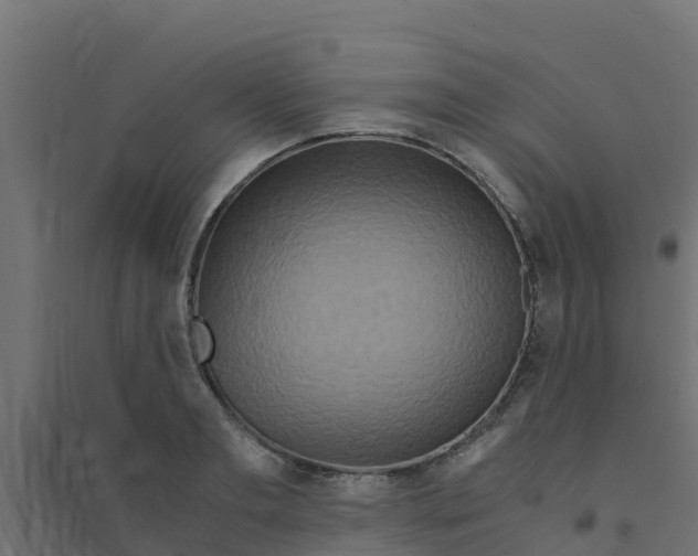 X0000094180893200711241551