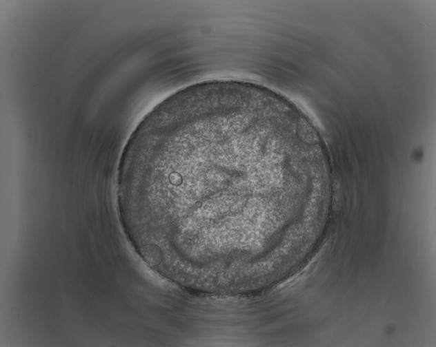 X0000094180895200711241551