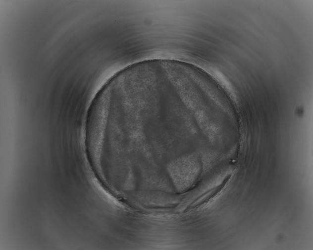 X0000094180896200711241551