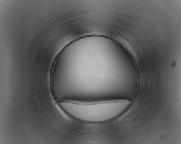 X0000094180898200711241550