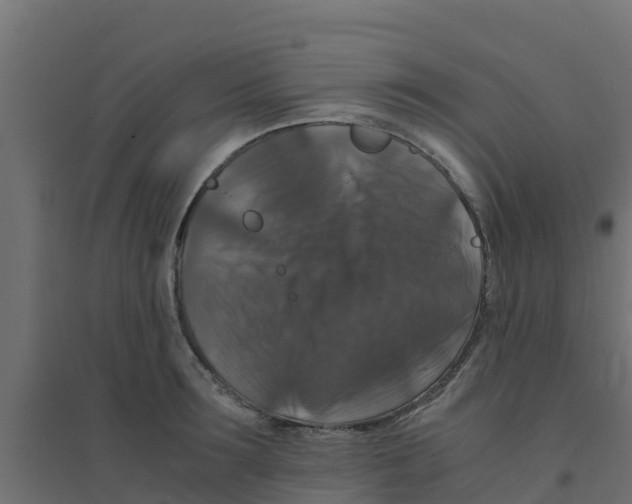 X0000094180899200711241550