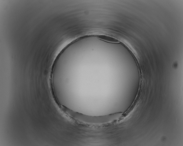 X0000094180901200711241550