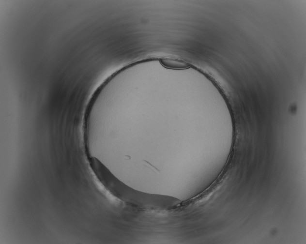 X0000094180902200711241550