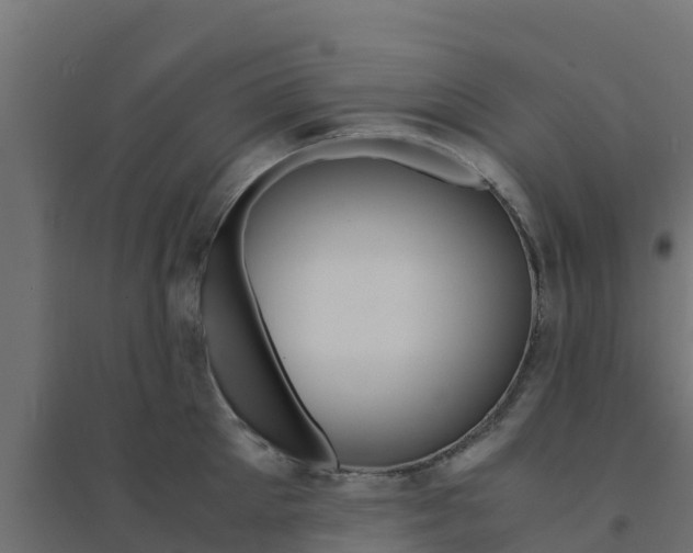X0000094180905200711241550