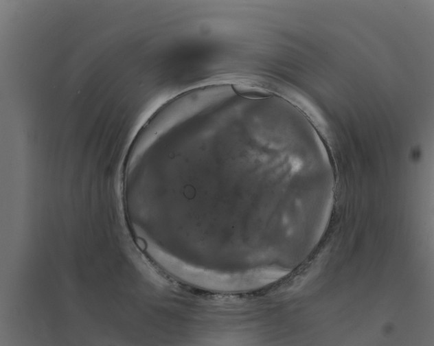 X0000094180907200711241550