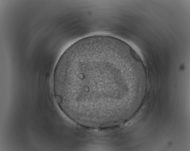 X0000094180911200711241550