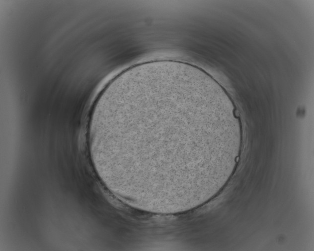 X0000094180912200711241550