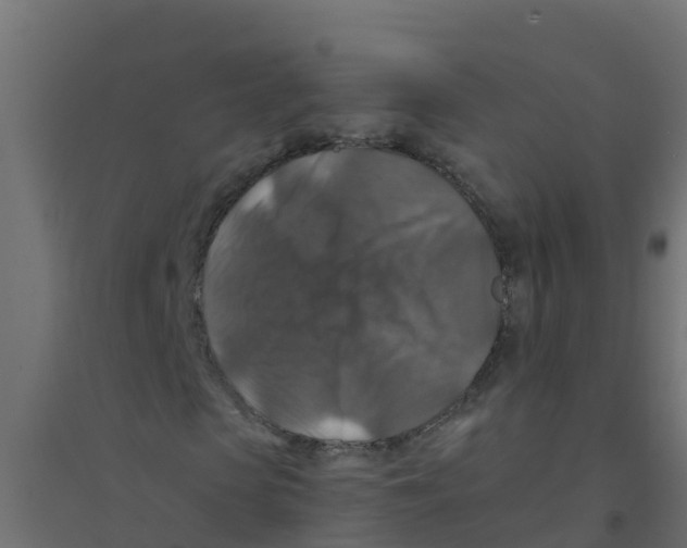X0000094180913200711241549