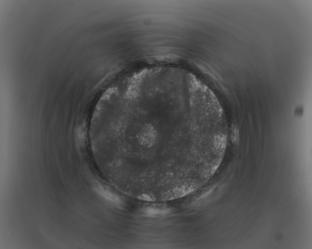 X0000094180915200711241550