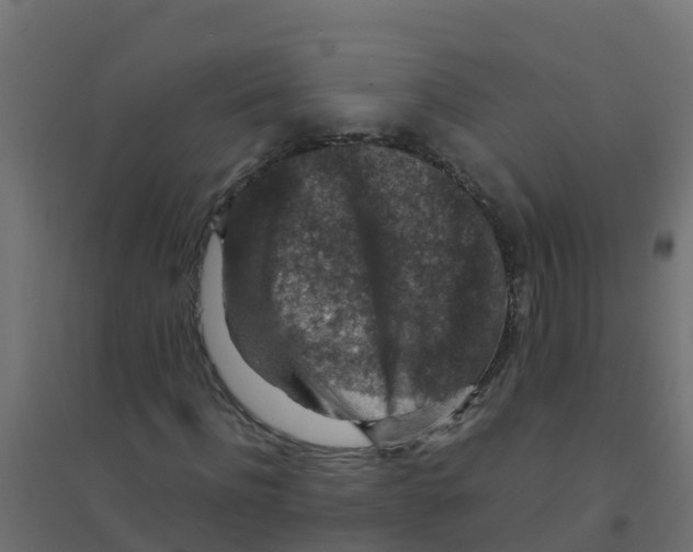 X0000094180916200711241550