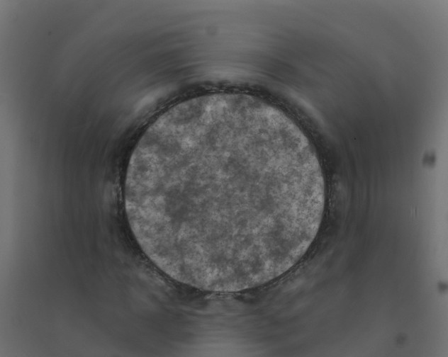 X0000094180918200711241550
