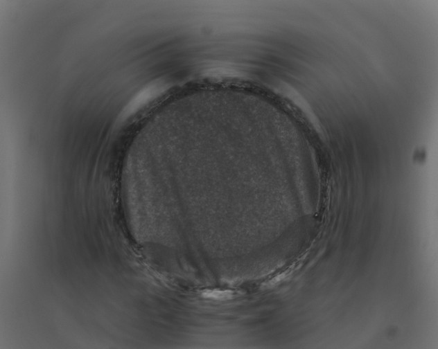 X0000094180919200711241550