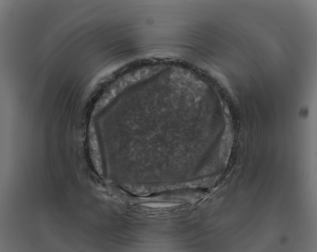 X0000094180920200711241550