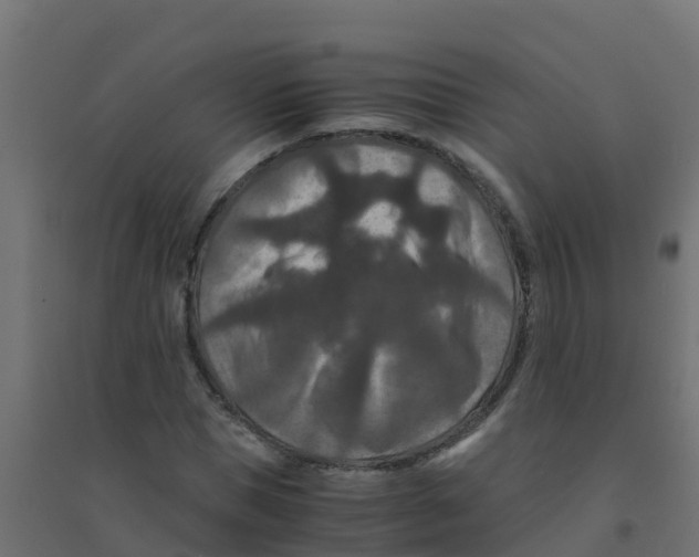 X0000094180921200711241550
