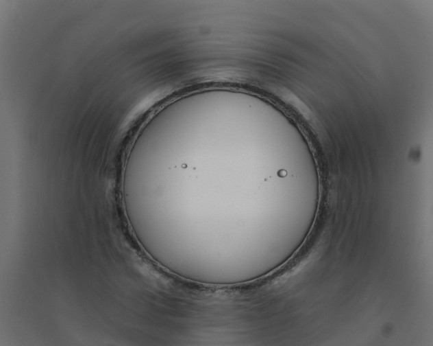 X0000094180922200711241550