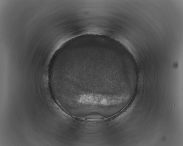 X0000094180923200711241550