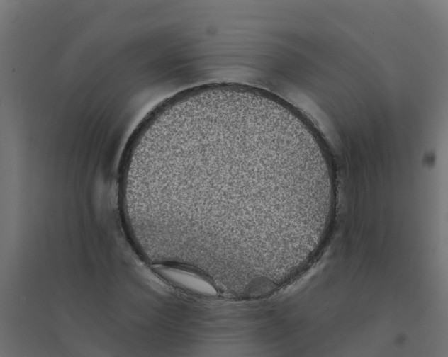 X0000094180924200711241550