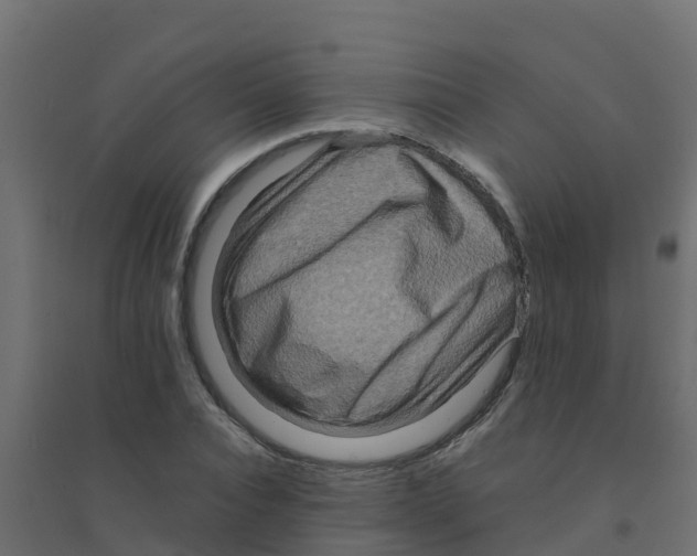 X0000094180928200711241550