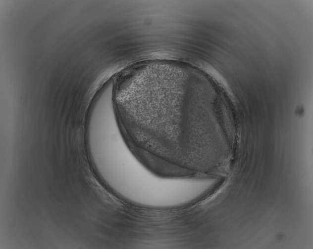 X0000094180930200711241550