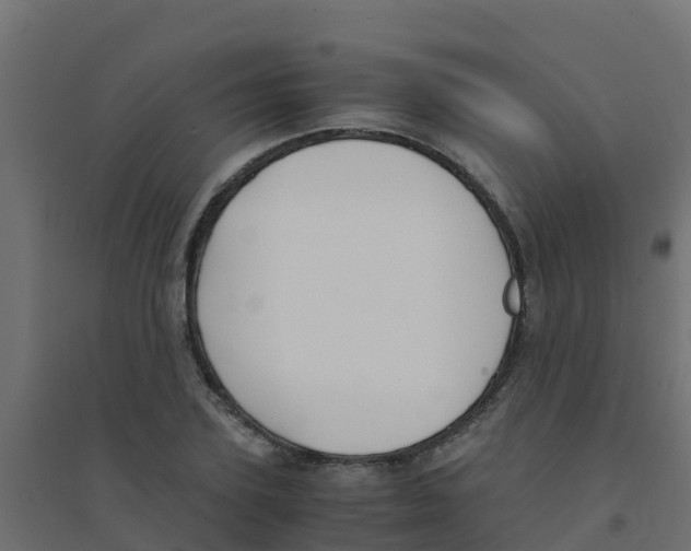 X0000094180931200711241550