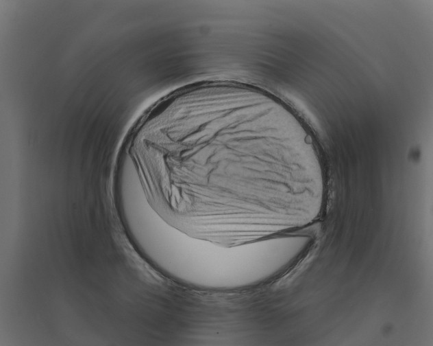 X0000094180932200711241550
