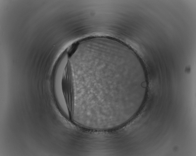X0000094180934200711241550