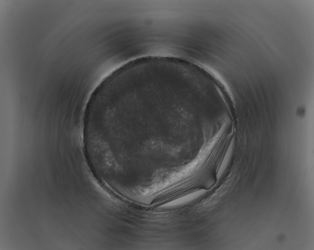 X0000094180935200711241550