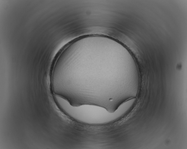 X0000094180936200711241550