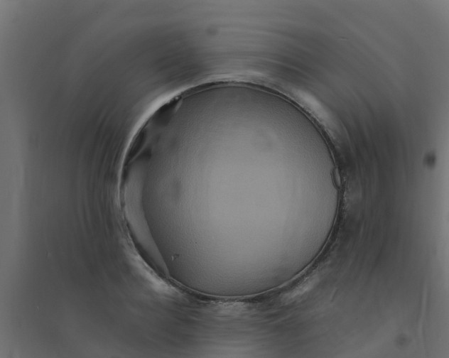 X0000094180940200711241550